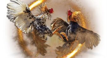 TORPEDO4D : SITUS HIBURAN BERTARUH SABUNG AYAM TERPOPULER